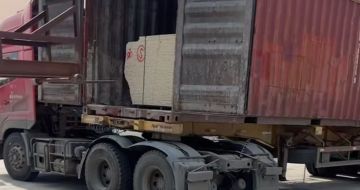 信阳 黄金麻荔枝面毛板