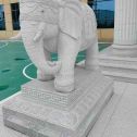 信阳 白麻花岗岩动物异形石雕-大象