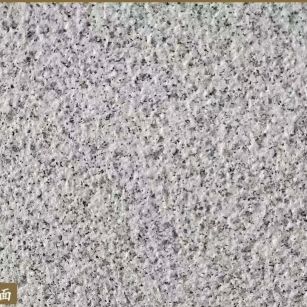 信阳白麻荔枝面