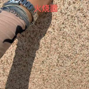 信阳黄金麻火烧面