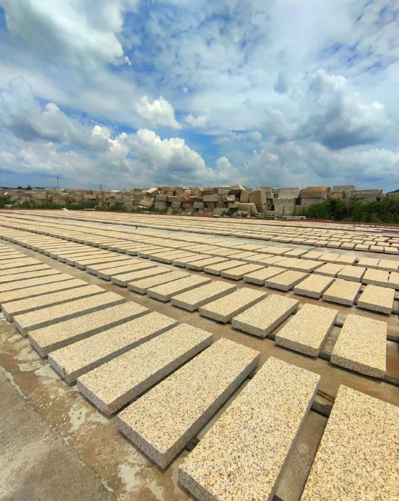 信阳 黄金麻花岗岩荔枝面地铺石防护中