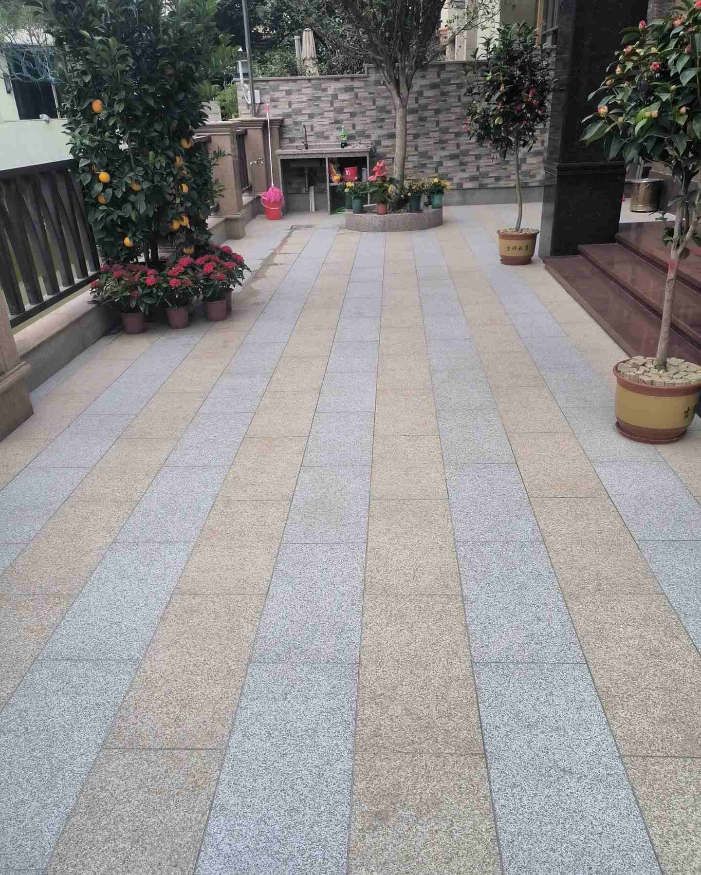 信阳 黄金麻白麻荔枝面庭院铺装展示